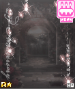 aa19st.gif