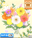 a419py.gif